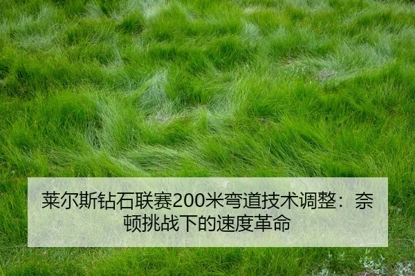 lai-er-si-zuan-shi-lian-sai-mi-wan-dao-ji-shu-tiao-zheng-nai-dun-tiao-zhan-xia-de-su-du-ge-ming-2-861.jpg