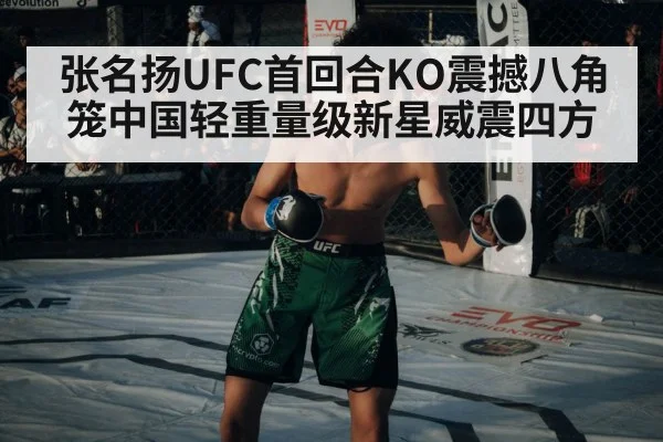 张名扬UFC首回合KO震撼八角笼中国轻重量级新星威震四方