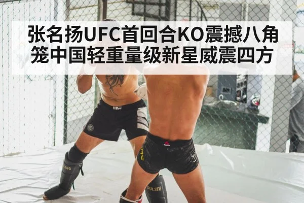 MMA knockout punch
