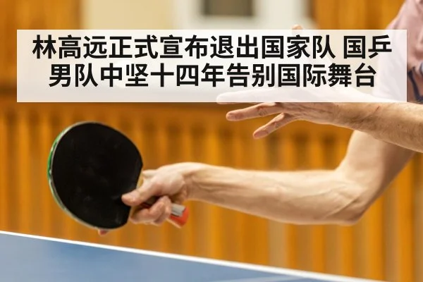 林高远正式宣布退出国家队 国乒男队中坚十四年告别国际舞台